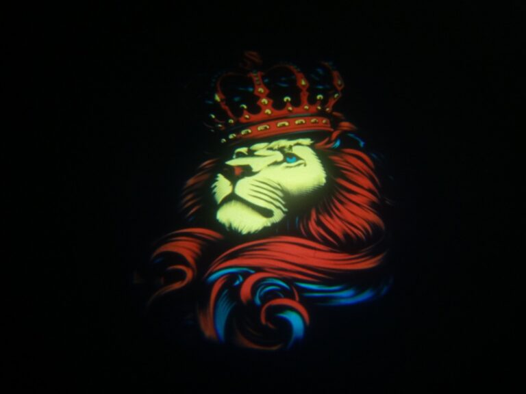 Custom LED GOBO Light - Lion