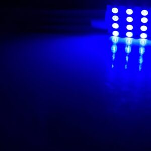 41mm: Lumenz 1210 Series 16-LED Bulb - Blue
