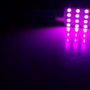41mm: Lumenz 1210 Series 16-LED Bulb - Pink