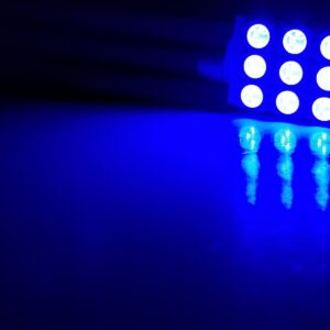 41mm: Lumenz 5050 Series 9-LED Bulb - Blue