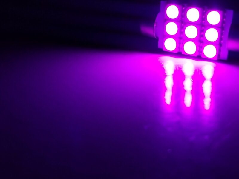 41mm: Lumenz 5050 Series 9-LED Bulb - Pink