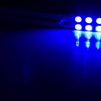 44mm: Lumenz 5050 Series 8-LED Rigid Loop Bulb - Blue