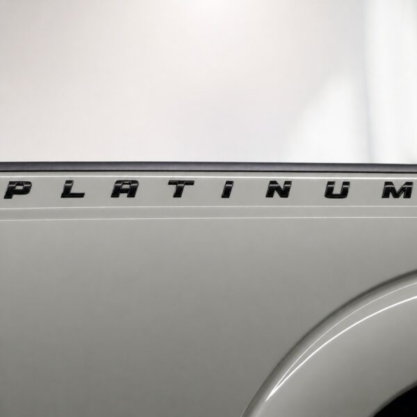 PLATINUM Lettering Emblem - Bed Side - Ford F-150 F-250 F-350 (2007-2025) - Gloss Black
