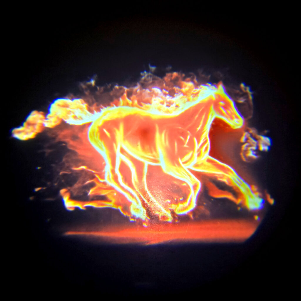 LED Door Puddle Light Kit - Flaming Pony