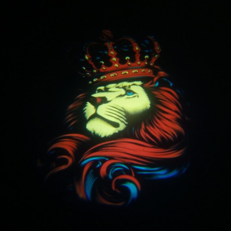 LED Door Puddle Light Kit - King Lion Crown