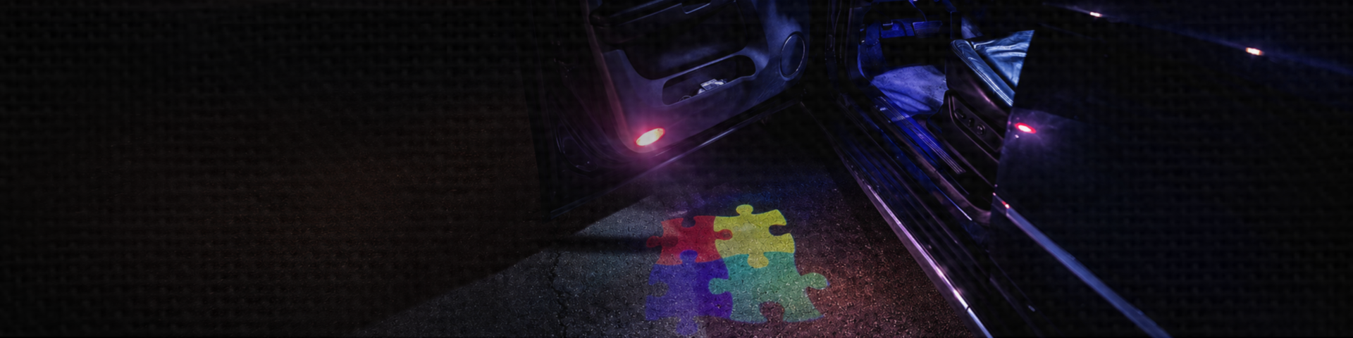 Vehicle door projecting a custom LED puddle light logo onto the ground.